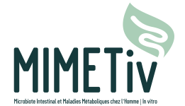 logo-MIMETiv